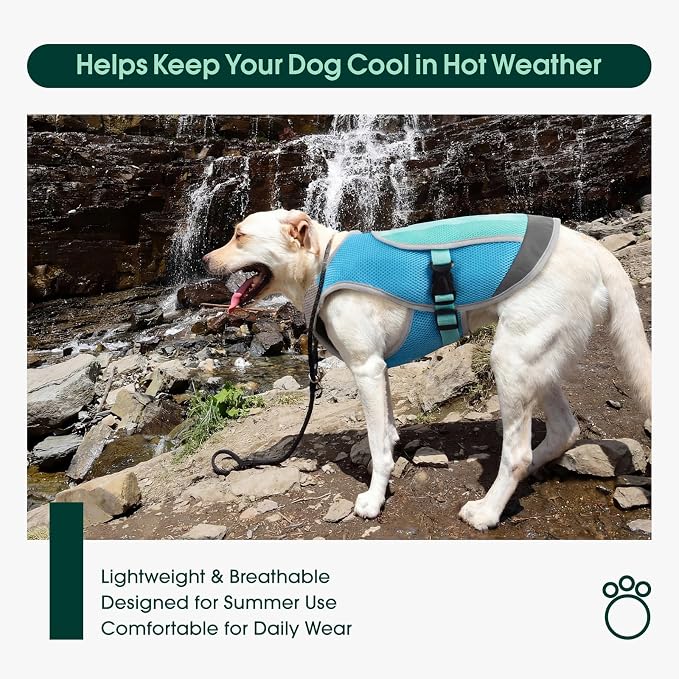 Dog Cooling Vest for Summer