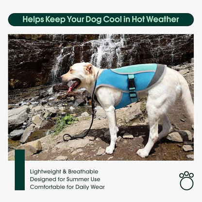 Dog Cooling Vest for Summer