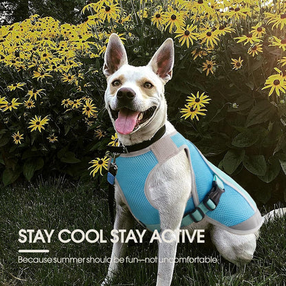 Dog Cooling Vest for Summer