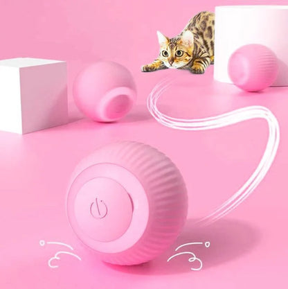 Smart Roll Ball for Cats – Self-Rolling Interactive Cat Toy