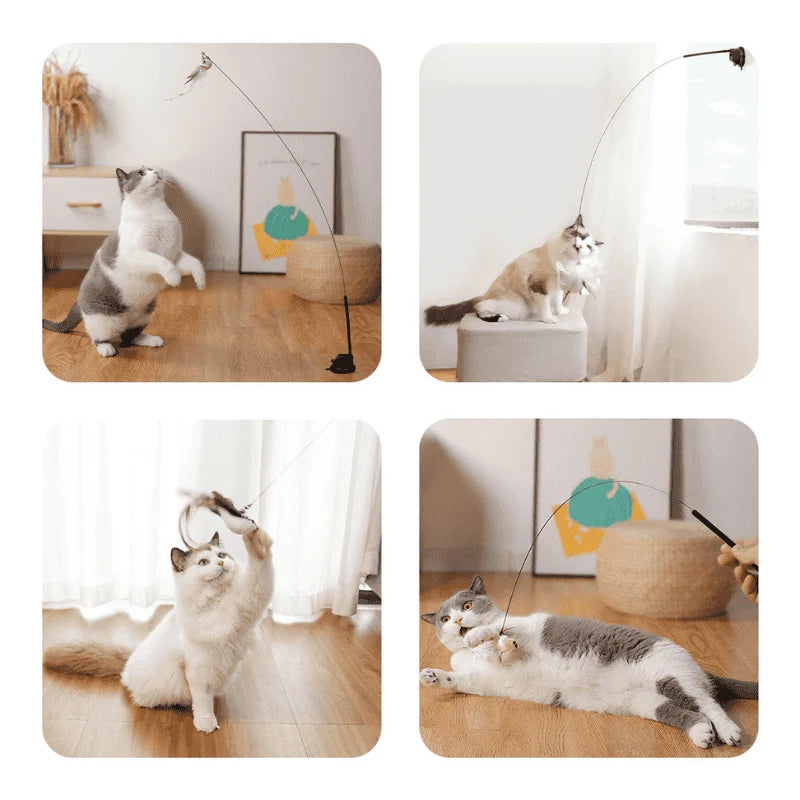 Interactive Bird Teaser Wand – Bouncy Cat Toy with Feathers