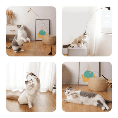 Interactive Bird Teaser Wand – Bouncy Cat Toy with Feathers