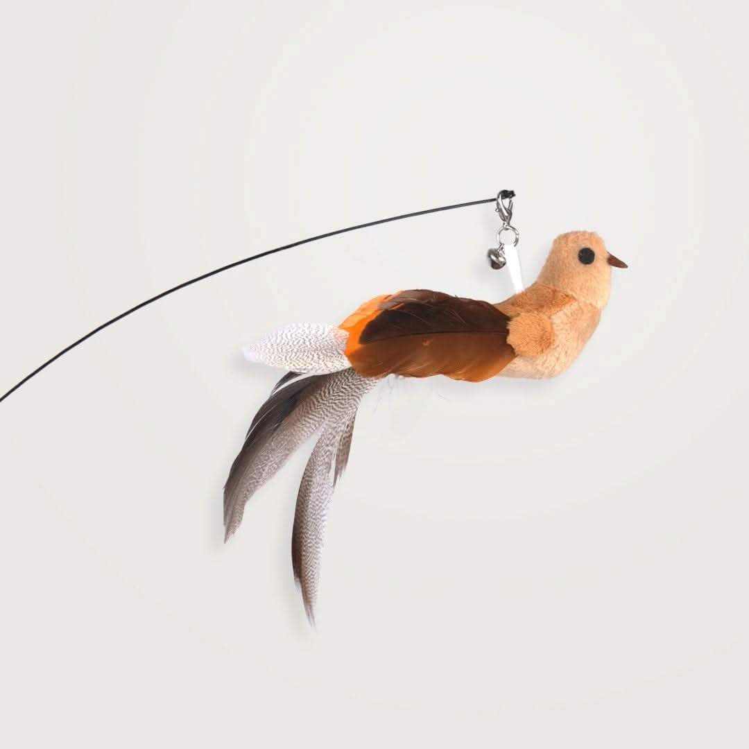 Interactive Bird Teaser Wand – Bouncy Cat Toy with Feathers